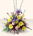 The FTD� Friendly Welcome� Arrangement